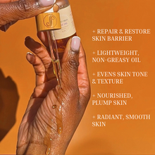 Load image into Gallery viewer, Balancing Rose Oil